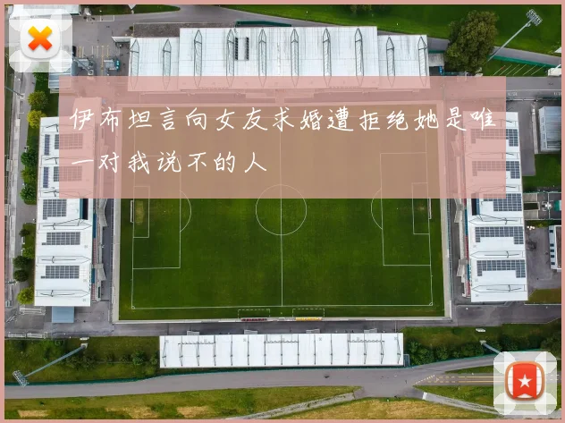 伊布坦言向女友求婚遭拒绝她是唯一对我说不的人