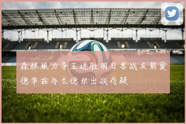 森林狼力争五连胜明日客战灰熊爱德华兹与兰德尔出战存疑