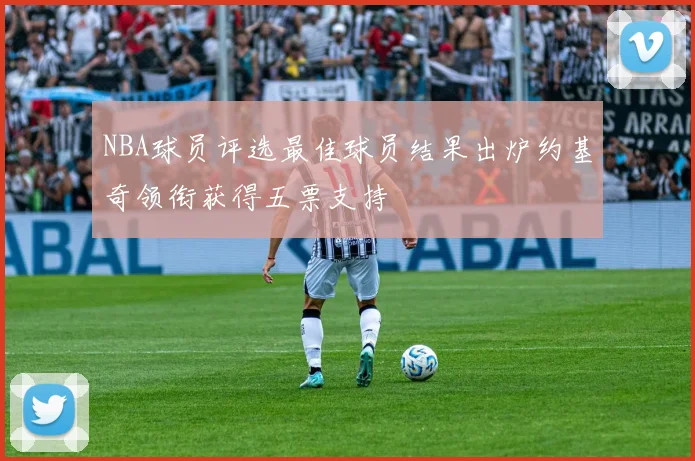 NBA球员评选最佳球员结果出炉约基奇领衔获得五票支持